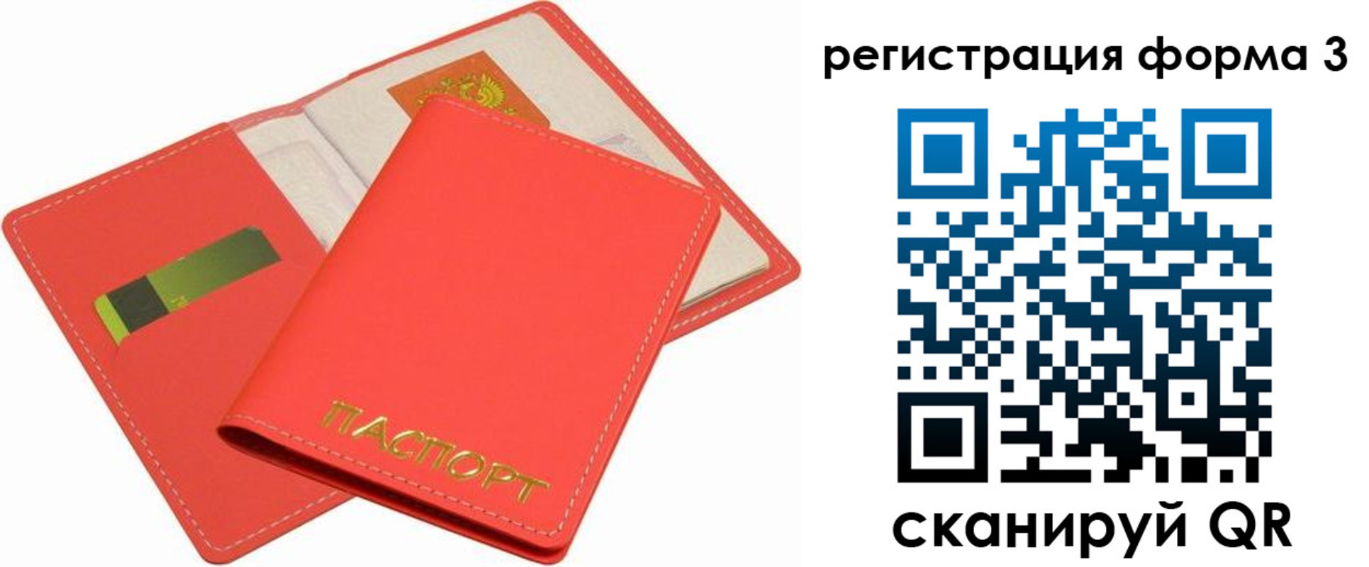 прописка для школы в Владимирской области
